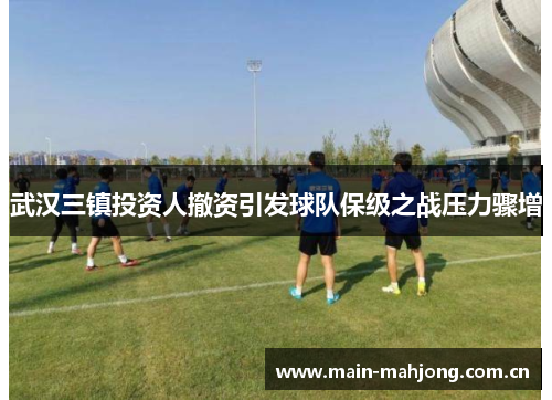 武汉三镇投资人撤资引发球队保级之战压力骤增 武汉三镇投资人撤资引发球队保级之战压力骤增